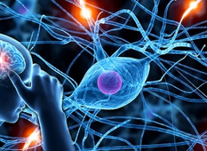 Cảnh báo: Những điều bạn cần biết về bệnh Rối loạn thần kinh thực vật